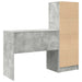 Birou cu sertar cu raft cu depozitare 2 pcs Gri din beton - WALTI WALTI