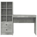 Birou cu sertar cu raft cu depozitare 2 pcs Gri din beton - WALTI WALTI