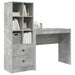 Birou cu sertar cu raft cu depozitare 2 pcs Gri din beton - WALTI WALTI