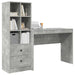 Birou cu sertar cu raft cu depozitare 2 pcs Gri din beton - WALTI WALTI