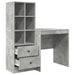 Birou cu sertar cu raft cu depozitare 2 pcs Gri din beton - WALTI WALTI