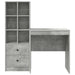 Birou cu sertar cu raft cu depozitare 2 pcs Gri din beton - WALTI WALTI