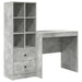 Birou cu sertar cu raft cu depozitare 2 pcs Gri din beton - WALTI WALTI