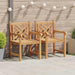 Scaune de grădină 2 pcs Maro 58 x 60 x 90 cm Lemn masiv de tec - WALTI WALTI
