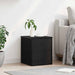 Cutie de depozitare Stejar Negru 40 x 42 x 46 cm Lemn compozit - WALTI WALTI