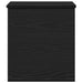 Cutie de depozitare Stejar Negru 40 x 42 x 46 cm Lemn compozit - WALTI WALTI