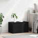 Cutie de depozitare Stejar Negru 60 x 35 x 35 cm Lemn compozit - WALTI WALTI