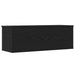 Cutie de depozitare Stejar Negru 102 x 35 x 35 cm Lemn compozit - WALTI WALTI