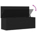 Cutie de depozitare Stejar Negru 102 x 35 x 35 cm Lemn compozit - WALTI WALTI