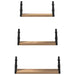 Raft de perete Pe perete cu depozitare 3 pcs Stejar fumuriu - WALTI WALTI