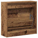 Dulap pentru Încălțăminte cu ușă Lemn Vechi 60 x 21 x 57 cm - WALTI WALTI