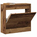 Dulap pentru Încălțăminte cu ușă Lemn Vechi 60 x 21 x 57 cm - WALTI WALTI