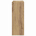 Dulap pentru Încălțăminte stejar artizanal 60 x 21 x 57 cm - WALTI WALTI
