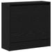 Dulap pentru Încălțăminte cu ușă Stejar negru 60 x 21 x 57 cm - WALTI WALTI