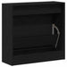 Dulap pentru Încălțăminte cu ușă Stejar negru 60 x 21 x 57 cm - WALTI WALTI