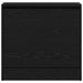 Dulap pentru Încălțăminte cu ușă Stejar negru 60 x 21 x 57 cm - WALTI WALTI