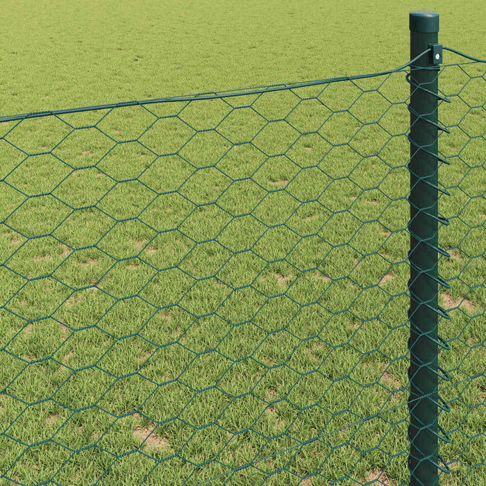 Gard hexagonal Verde 1 x 10 m Oțel - WALTI WALTI
