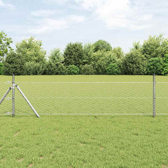 Gard hexagonal Argintiu 0,6 x 10 m Oțel galvanizat - WALTI WALTI
