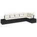 Set de canapele pentru grădină 6 pcs negru și crem Rattan poli - WALTI WALTI