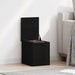 Cutie de depozitare Stejar Negru 30 x 35 x 35 cm Lemn compozit - WALTI WALTI