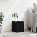 Cutie de depozitare Stejar Negru 30 x 35 x 35 cm Lemn compozit - WALTI WALTI