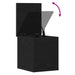 Cutie de depozitare Stejar Negru 30 x 35 x 35 cm Lemn compozit - WALTI WALTI