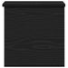 Cutie de depozitare Stejar Negru 30 x 35 x 35 cm Lemn compozit - WALTI WALTI