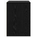 Dulap cu sertare cu sertar Negru 61 x 41 x 58 cm Lemn compozit - WALTI WALTI