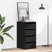 Dulap cu sertare cu sertar Negru 40 x 41 x 76 cm Lemn compozit - WALTI WALTI