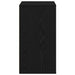 Dulap cu sertare cu sertar Negru 60 x 41 x 76 cm Lemn compozit - WALTI WALTI