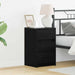 Dulap de noapte Stejar Negru 38 x 34 x 61 cm Lemn compozit - WALTI WALTI