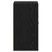 Cabinet de Apotecă Stejar negru 40 x 41 x 77.5 cm Lemn compozit - WALTI WALTI