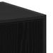 Cabinet de Apotecă Stejar negru 40 x 41 x 118 cm Lemn compozit - WALTI WALTI