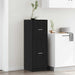 Cabinet de Apotecă Stejar negru 40 x 41 x 118 cm Lemn compozit - WALTI WALTI