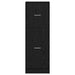 Cabinet de Apotecă Stejar negru 40 x 41 x 118 cm Lemn compozit - WALTI WALTI