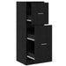 Cabinet de Apotecă Stejar negru 40 x 41 x 118 cm Lemn compozit - WALTI WALTI