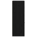 Cabinet de Apotecă Stejar negru 40 x 41 x 118 cm Lemn compozit - WALTI WALTI
