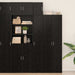 Dulap montat pe perete Stejar Negru 30 x 42.5 x 39.5 cm - WALTI WALTI