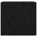 Dulap montat pe perete Stejar Negru 30 x 42.5 x 39.5 cm - WALTI WALTI