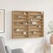 Dulap de Expunere cu raft Stejar Artizanal 100 x 8,5 x 75 cm - WALTI WALTI