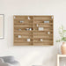 Dulap de Expunere cu raft Stejar Artizanal 100 x 8,5 x 75 cm - WALTI WALTI