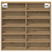 Dulap de Expunere cu raft Stejar Artizanal 60 x 8,5 x 58 cm - WALTI WALTI