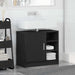 Dulap pentru chiuvetă cu ușă Stejar Negru 63 x 29 x 55 cm - WALTI WALTI