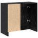 Dulap pentru chiuvetă cu ușă Stejar Negru 63 x 29 x 55 cm - WALTI WALTI