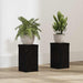 Suport pentru plante 2 pcs Stejar negru 10 x 10 x 18 cm - WALTI WALTI