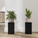 Suport pentru plante 2 pcs Stejar negru 10 x 10 x 18 cm - WALTI WALTI