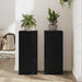 Suport pentru plante 2 pcs Stejar negru 30 x 30 x 70 cm - WALTI WALTI