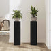 Suport pentru plante 2 pcs Stejar negru 17 x 17 x 60 cm - WALTI WALTI