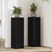 Suport pentru plante 2 pcs Stejar negru 25 x 25 x 80 cm - WALTI WALTI