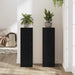 Suport pentru plante 2 pcs Stejar negru 25 x 25 x 80 cm - WALTI WALTI